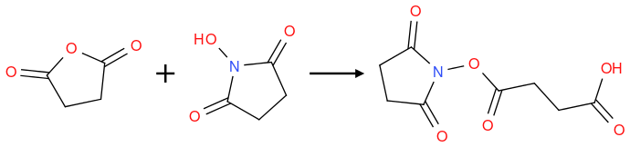 O=C1CCC(O1)=O.O=C2CCC(N2O)=O>>O=C3CCC(N3OC(CCC(O)=O)=O)=O